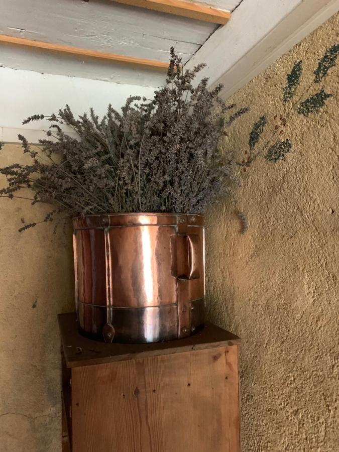 Le Potala Acomodação com café da manhã Le Bouchet-Saint-Nicolas Exterior foto